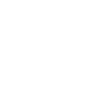 White Logo 2