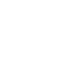 White Logo 2